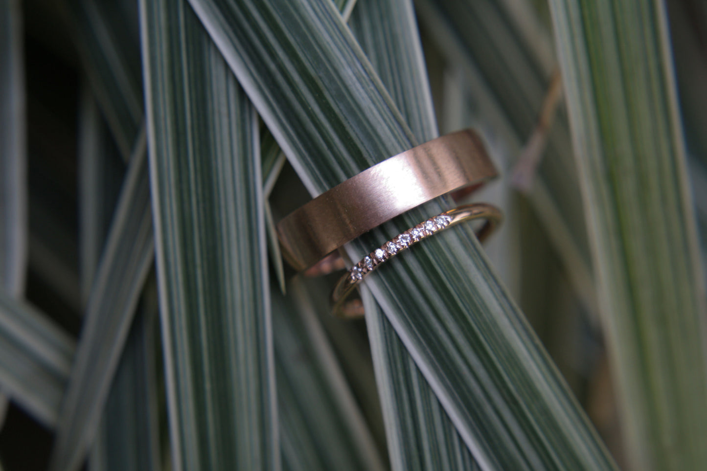 Argolla Eduardo Bridal "for him"