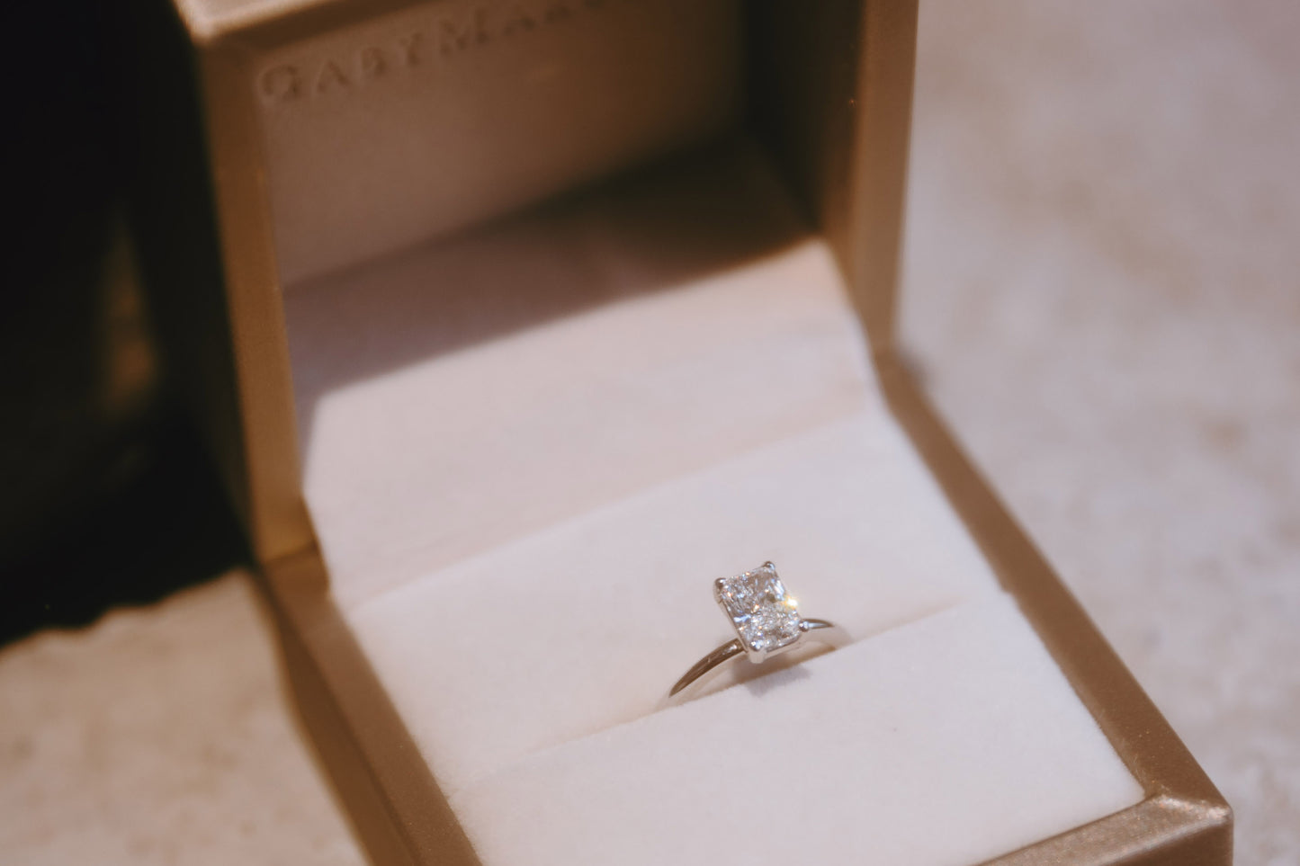 Modelo Danya Diamante Bridal