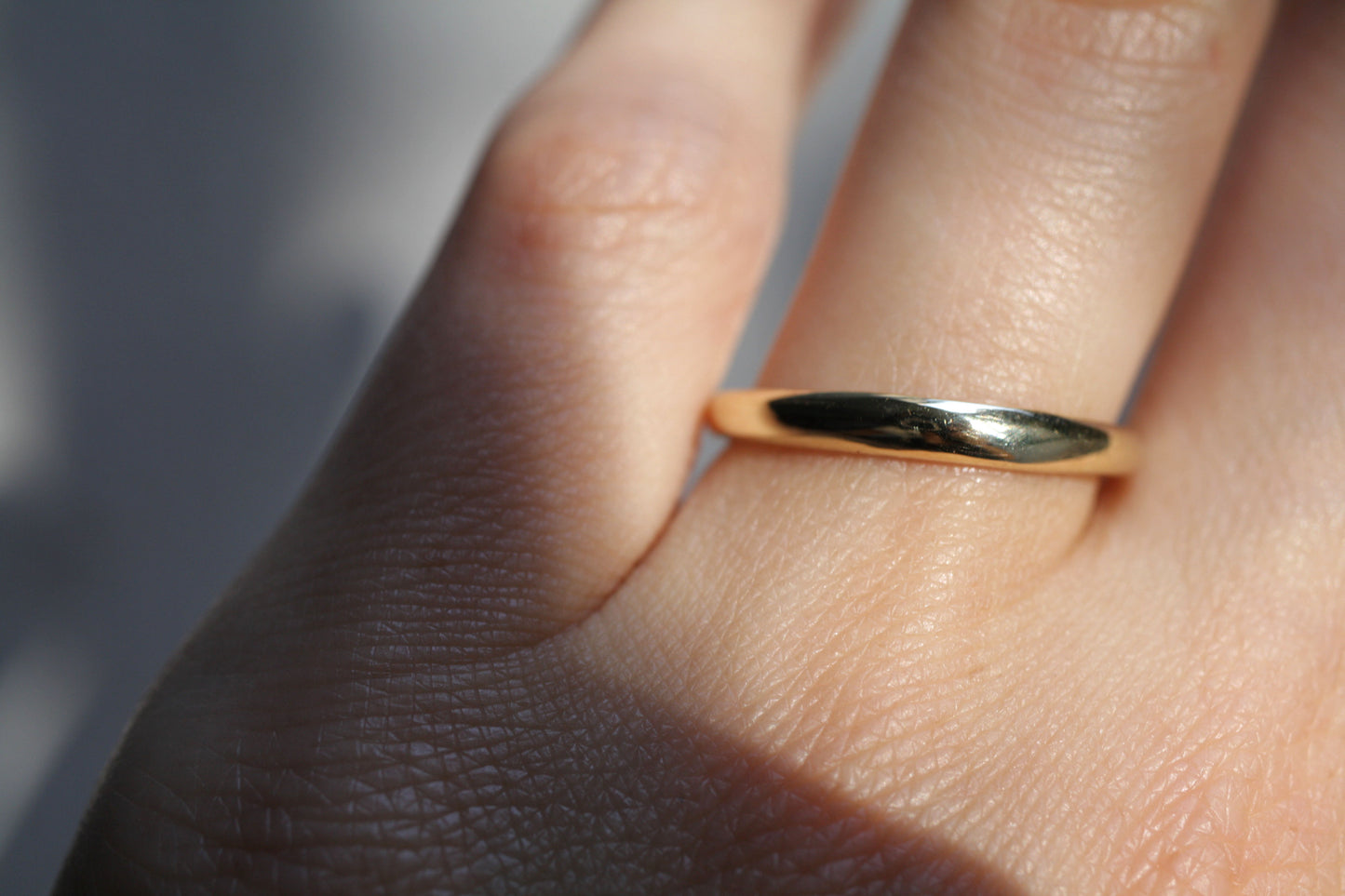 Anillo Domo
