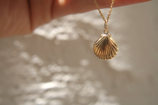 Collar Seashell